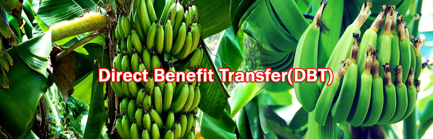 Department of Horticulture and Food Processin