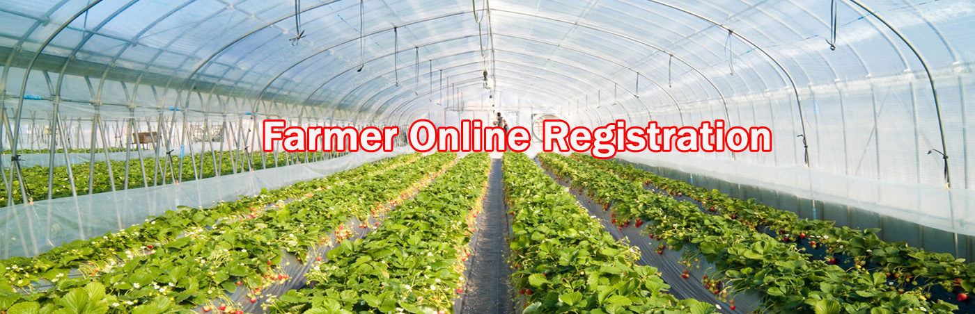 Department of Horticulture and Food Processin